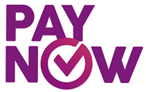 PayNow Logo